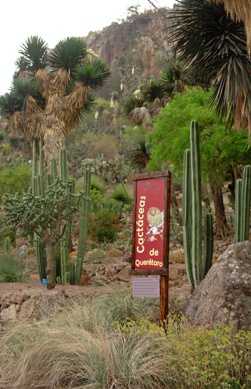 CADEREYTA
