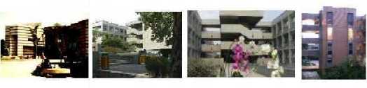 Biologia UNAM